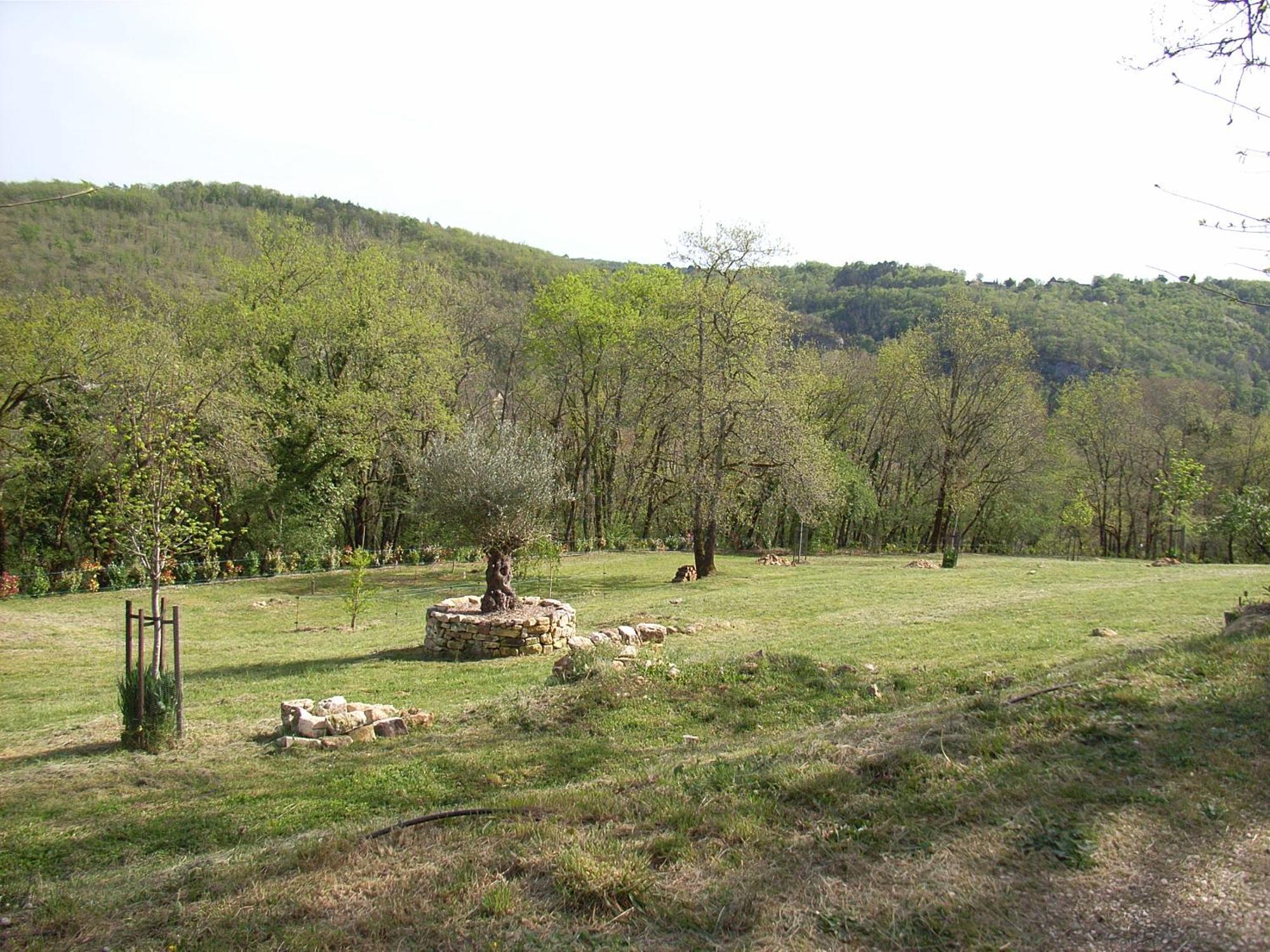 Studio Aux Eyzies Au Coeur De La Vallee De L'Homme Les Eyzies Exterior photo