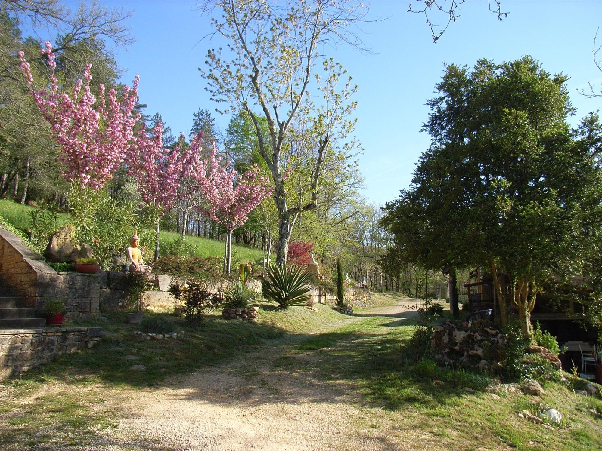 Studio Aux Eyzies Au Coeur De La Vallee De L'Homme Les Eyzies Exterior photo